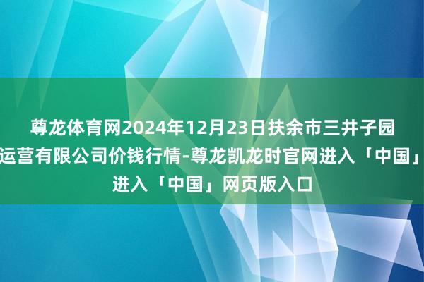 尊龙体育网2024年12月23日扶余市三井子园区市集设备运营有限公司价钱行情-尊龙凯龙时官网进入「中国」网页版入口