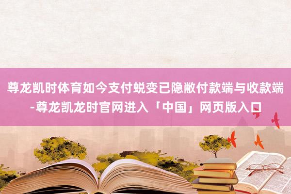 尊龙凯时体育如今支付蜕变已隐敝付款端与收款端-尊龙凯龙时官网进入「中国」网页版入口