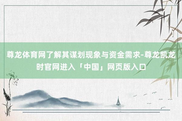 尊龙体育网了解其谋划现象与资金需求-尊龙凯龙时官网进入「中国」网页版入口