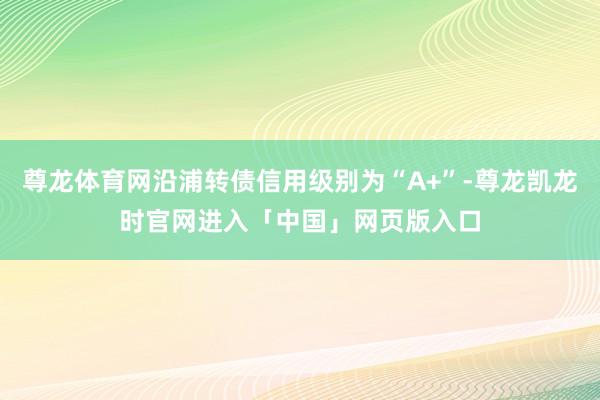 尊龙体育网沿浦转债信用级别为“A+”-尊龙凯龙时官网进入「中国」网页版入口