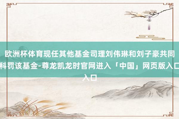 欧洲杯体育现任其他基金司理刘伟琳和刘子豪共同科罚该基金-尊龙凯龙时官网进入「中国」网页版入口